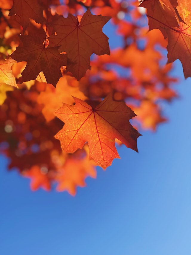 fall retreat