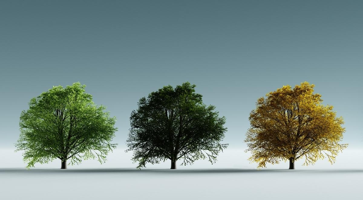 Spring or Fall? When to Schedule Your Church Retreat