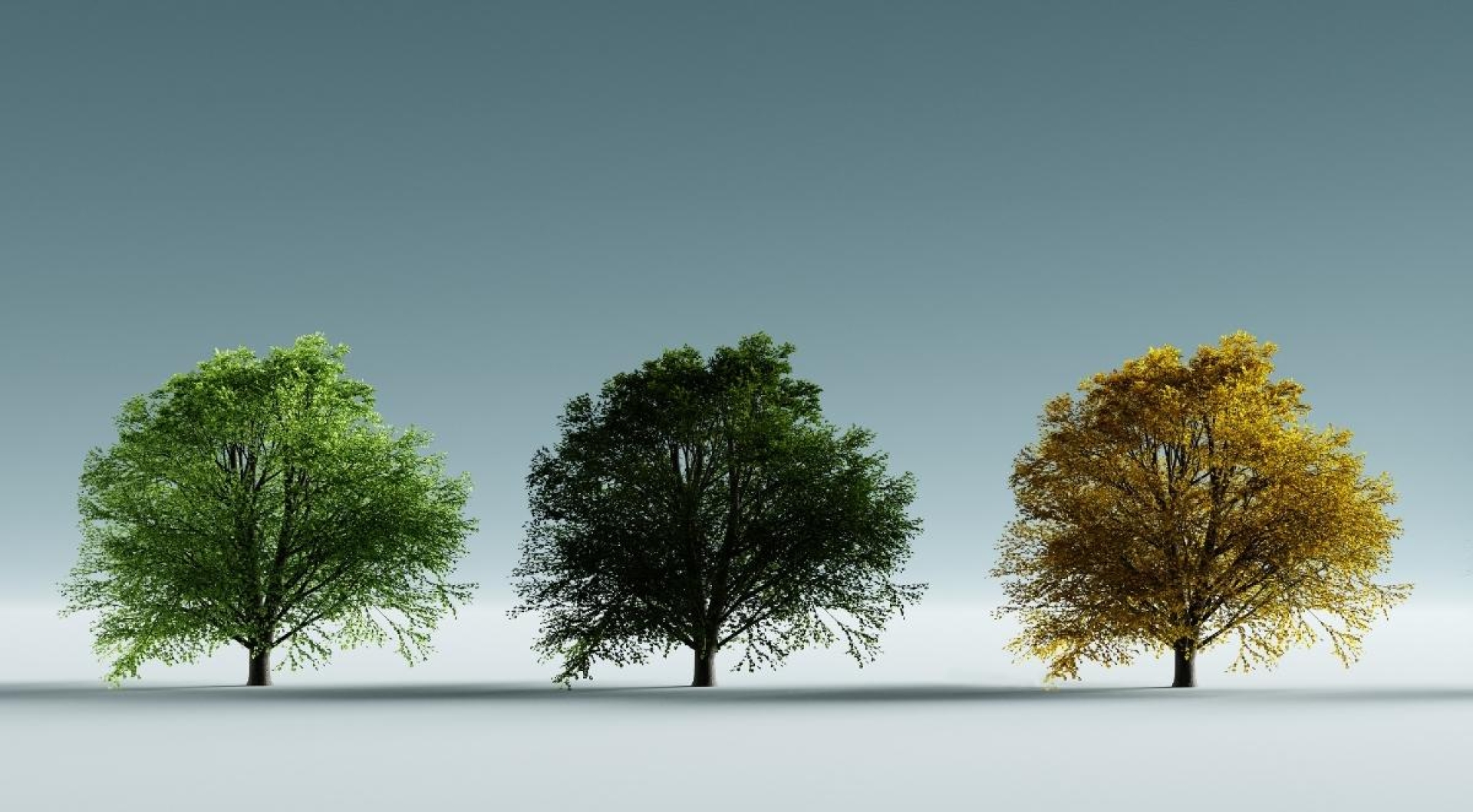 Spring or Fall? When to Schedule Your Church Retreat