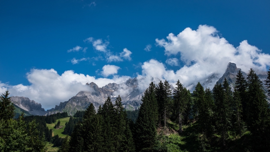 What is Outdoor Education?